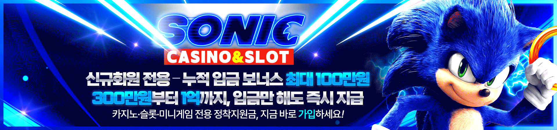 소닉 평생 주소